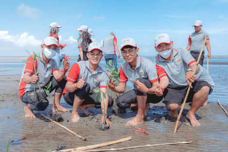 Camma Staff Planting Mangrove Trees in Kep Community Event (2022)