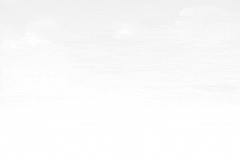 CAMMA 15 Years Anniversary